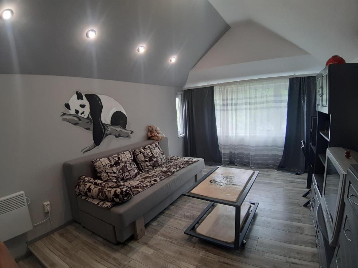 Barlig Apartman Jaremcse Kültér fotó